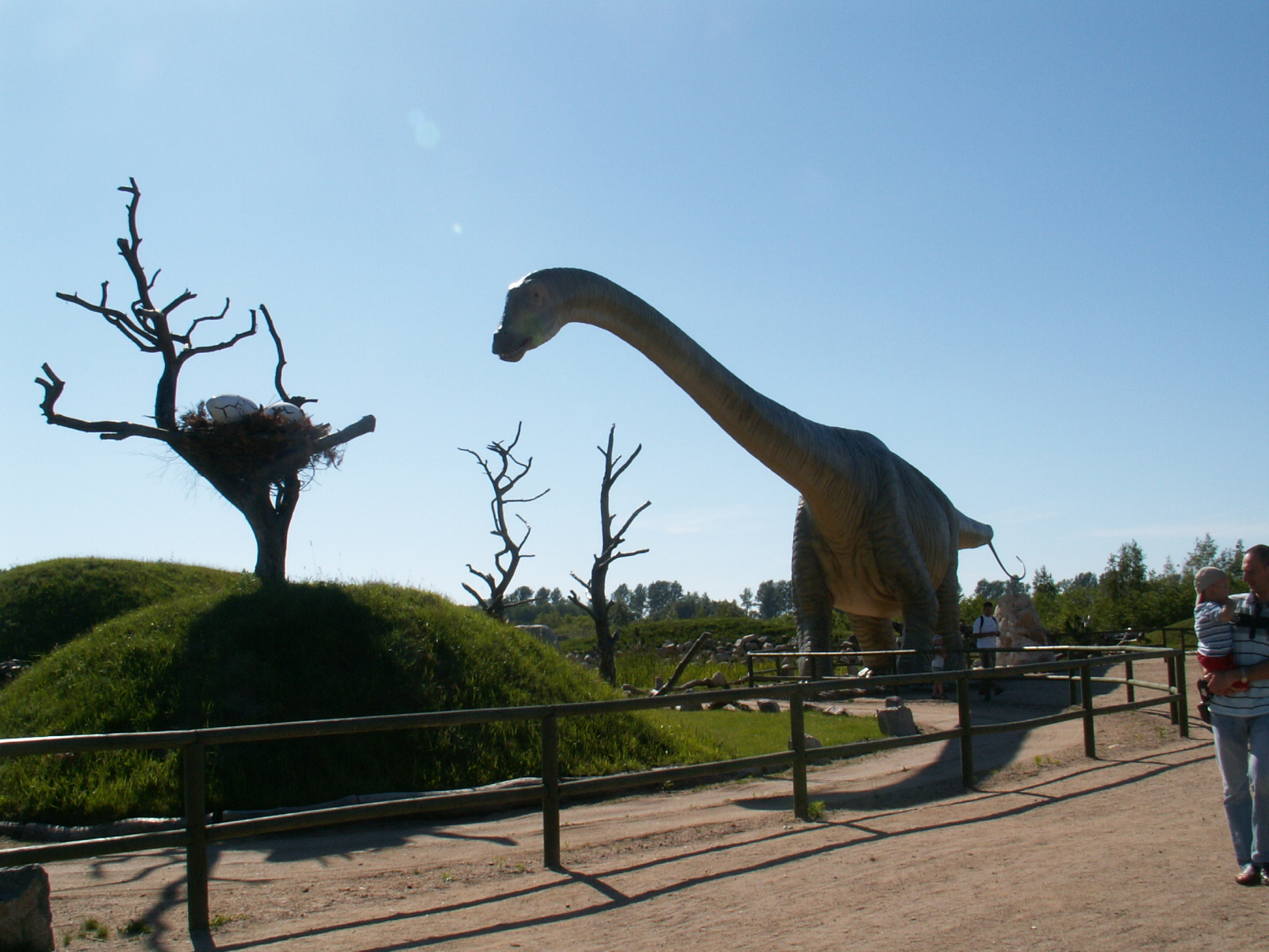 Park Dinozaurów Łeba
